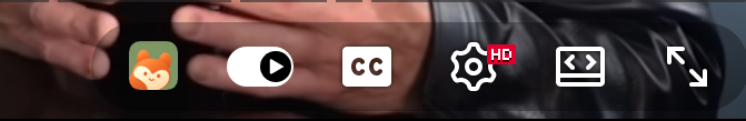 Fox icon in the YouTube control bar to toggle bilingual captions.